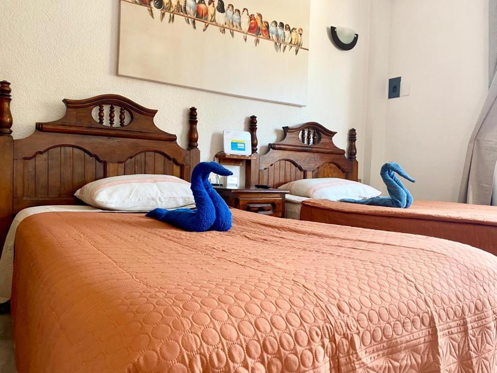 Suites Ximajo Brisas de Zicatela Bagian luar foto